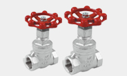 Globe Valve-QF801