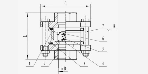 Spring Check Valve-QF507